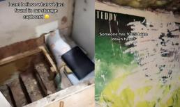 Di chuyển đồ đạc: Cô gái phát hiện điều 'rùng rợn' phía dưới tủ đựng đồ