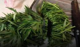 Về ra mắt, cô gái dùng dao thái mớ rau muống một đường cho nhanh, mẹ chồng mặt tái mét đuổi khéo 