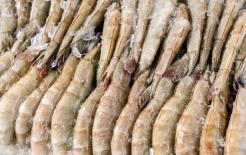 Khi nấu tôm đông lạnh, không cho trực tiếp vào nồi, làm thêm 1 bước nữa là tôm tươi và mềm