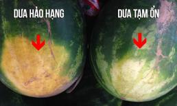 Bí kíp chọn dưa hấu vỏ mỏng, bên trong ngon ngọt, mọng nước và cách bảo quản đúng 