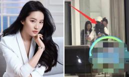 'Tiểu Long Nữ' Lưu Diệc Phi bị chộp cảnh đi thẩm mỹ viện làm đẹp tới khuya 