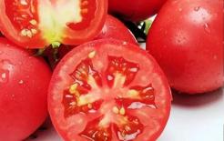 Cà chua và thứ này là “thiên địch”, không được ăn chung, nếu ăn nhầm sẽ bị ngộ độc mãn tính