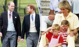 Gác mâu thuẫn sang một bên, anh em William và Harry cùng 'về một phe' để làm điều này cho mẹ