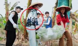 Châu Tấn diện áo 170 triệu đi làm nông, đây là đang 'khoe của' sao? Người hâm mộ tiết lộ sự thật