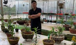 Hành trình theo đuổi đam mê với hoa lan của nghệ nhân Thành Chuyên