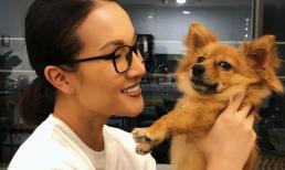 Hot vlogger Giang Ơi lên tiếng vụ chó Pitbull cắn chết người: 'Không có con chó nào sinh ra là con chó dữ'