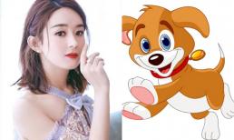 Xem tử vi tháng 6: 3 con giáp sung túc phú quý nhất, có thể sắm sửa nhà lầu xe hơi trong tầm tay