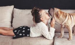 Nhà có thú cưng nên chọn ghế sofa nào? Cách vệ sinh sofa khi nhà có vật nuôi?