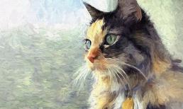 Những ngày đầu tháng 6: 3 con giáp vận đỏ như son, tài lộc lên hương, giàu sang hơn người