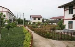 Câu nói nông thôn “Trong sân không trồng hai cây, ngoài sân không treo hai tấm vải” điều này có ý nghĩa gì? 