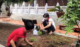 Clip Hoài Linh với ngoại hình tiều tụy vẫn tự tay nhổ cỏ trồng cây bỗng hot trở lại