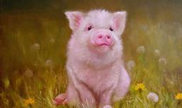 Tử vi 14 ngày tới: 3 con giáp sự nghiệp thành công, dễ được thăng chức tăng lương, cuộc sống như 'cá gặp nước'