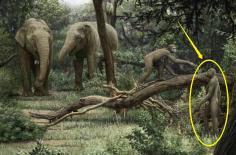 Sau khi cơ thể con người rụng đi lông, tại sao chỉ còn lại lông mu, lông nách và lông tay?