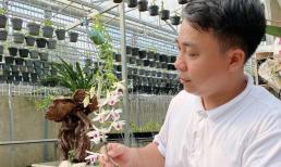 Quản Mạnh Dũng: Bí quyết chăm Lan đúng cách cho người mới bắt đầu