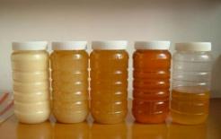 Làm sao để phân biệt được độ thật giả của mật ong? Học 4 thủ thuật này bạn sẽ không lãng phí tiền mua nhầm