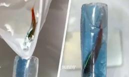 Tiệm nail gây phẫn nộ vì nhét cá còn sống vào móng tay của khách