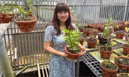 Võ Thị Lương - Cái tên nổi bật trong giới chơi lan, được nhiều người biết đến