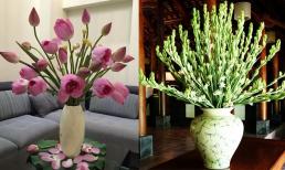 Mùng 1/5 âm lịch, thắp hương hoa gì để phúc lộc đầy nhà, may mắn cả tháng?