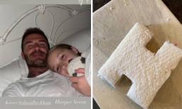 David Beckham đích thực là ông bố chiều con gái nhất quả đất: Tự tay làm đồ ăn cho công chúa nhỏ kèm thông điệp yêu thương