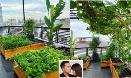 Vườn rau sạch trong biệt thự 40 tỷ của Lê Hoàng (The Men)