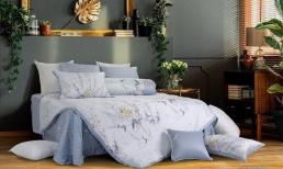 Sở hữu bộ chăn ga gối chất lượng có thực sự đắt như bạn nghĩ?