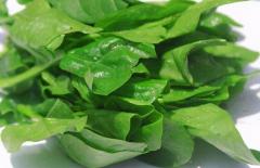 Tuổi trung niên nên ăn 3 loại thực phẩm để thúc đẩy tuần hoàn máu, giảm huyết áp và mỡ máu, tăng cường sức đề kháng