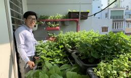 Ban công chỉ có 3m2, hai vợ chồng vẫn khiến dân tình phát thèm khi trồng được vườn rau xanh mướt 