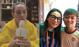 Sau loạt ồn ào với Hồ Văn Cường, Phi Nhung chính thức mở trang cá nhân và có động thái gây chú ý