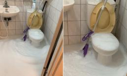 Ngày đầu về làm dâu, cô gái đổ nước giặt vào bồn cầu và cái kết bị mẹ chồng mắng: 'Ăn gì mà ngốc nghếch!'