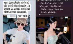 Drama chuyện ly hôn với chồng cũ chưa hết nóng, Lệ Quyên lại gây chú ý khi đăng đàn mắng ai đó là 'rẻ rách'