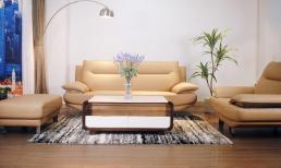 Cần lưu ý điều gì khi chọn bộ ghế sofa tiếp khách văn phòng nhỏ?