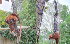 Một đống lớn vật thể bí ẩn rơi xuống từ mái hiên, cư dân mạng tò mò bước tới để kiểm tra và anh đã bị sốc!