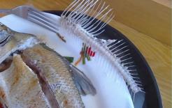 Xương cá mắc kẹt trong cổ họng, 3 ngày sau anh chàng tử vong! Bác sĩ: Đừng mù quáng nuốt cơm và uống giấm, hãy làm điều này