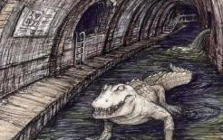 Có cá sấu trong cống rãnh ở New York không? Truyền thuyết về 'mặt tối' đằng sau thành phố huy hoàng bắt nguồn từ đâu