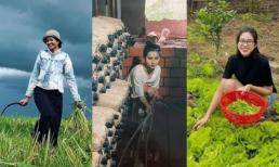 Đỗ Thị Hà hái rau, H'Hen Niê gặt lúa, Đen Vâu tắm heo: Dàn sao Việt tạm lánh showbiz ồn ào để về quê tránh dịch