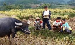 'Ong tháng 7, rắn tháng 8, lươn tháng 9 không nên động vào', câu nói này có ý nghĩa gì? Ngày nay còn áp dụng không?