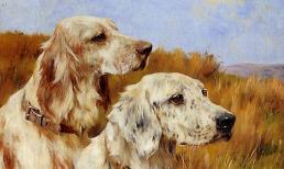 3 con giáp này được Thần Tài và quý nhân chiếu cố, nửa đầu tháng 6 âm lịch có cơ hội phát tài, giàu có viên mãn cuối năm 2021