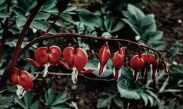 Đối với một người đàn ông, một người phụ nữ thông minh có 'nghĩa là' gì?