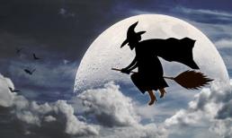 Tại sao phù thủy lại cưỡi chổi mà không cưỡi thứ khác?