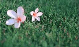 5 sự thật mà con người nên nhìn thấu trong cuộc đời, đau lòng quá!