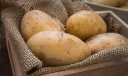 Bảo quản thực phẩm mùa dịch Covid: Khoai tây khó bảo quản trong những ngày nắng? Dạy cho bạn một mẹo, khoai tây không nảy mầm, để cả năm không hỏng