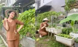 Nhật Kim Anh hóa 'nông dân' chăm sóc vườn rau xanh mướt vào mùa dịch