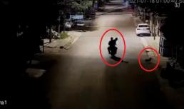 Chú chó 'nhỏ nhưng có võ' khiến 2 'cẩu tặc' nhận cái kết bẽ mặt