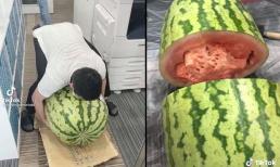 'Vật lộn' bổ quả dưa hấu 'đột biến' nặng 95kg, dài gần 1 mét, thành quả lại khiến tất cả thất vọng