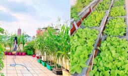 Đã mắt với khu vườn trên sân thượng đủ loại rau củ quả tại TP Hồ Chí Minh