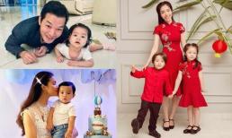 Phạm Hương, Elly Trần và những sao Việt thường xuyên đăng hình con trong khi 'người bạn đời' thì được giấu kín