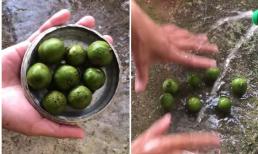 Cách làm sạch vỏ sấu với một chiếc nắp ấm cực đơn giản đang thu hút sự chú ý của cư dân mạng  