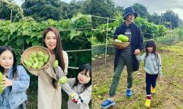 Dân mạng trầm trồ khi Lý Hải và bà xã Minh Hà sở hữu nông trại hàng trăm mét vuông tại Đà Lạt