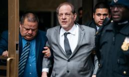 'Ông trùm' Hollywood - Harvey Weinstein đối diện án 140 năm tù sau khi bị loạt phụ nữ tố cáo quấy rối, tấn công tình dục