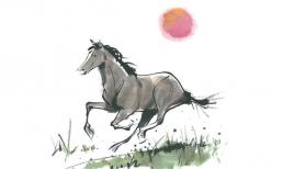 Những con ngựa sinh vào những tháng mấy âm lịch có số mệnh phú quý, về già sẽ được hưởng phúc lộc vô tận?